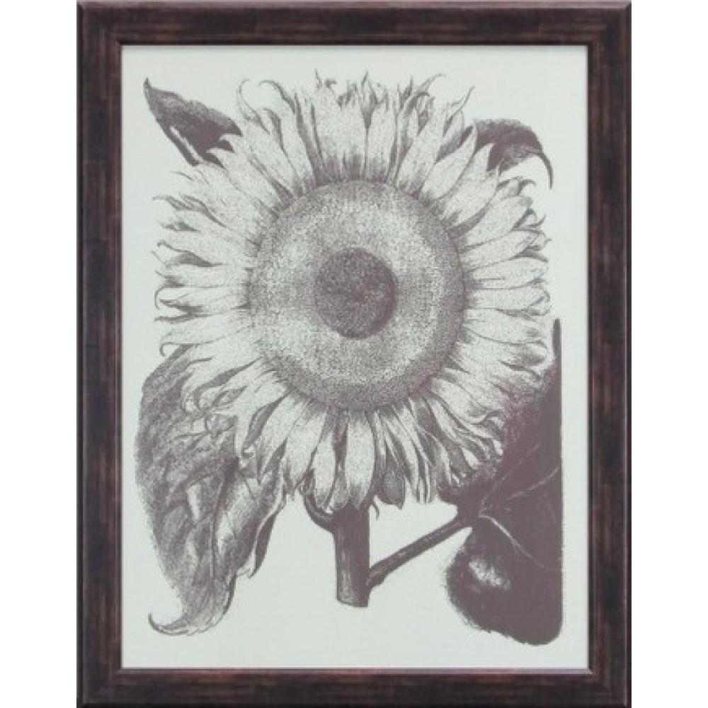 Sunflower Framed Art