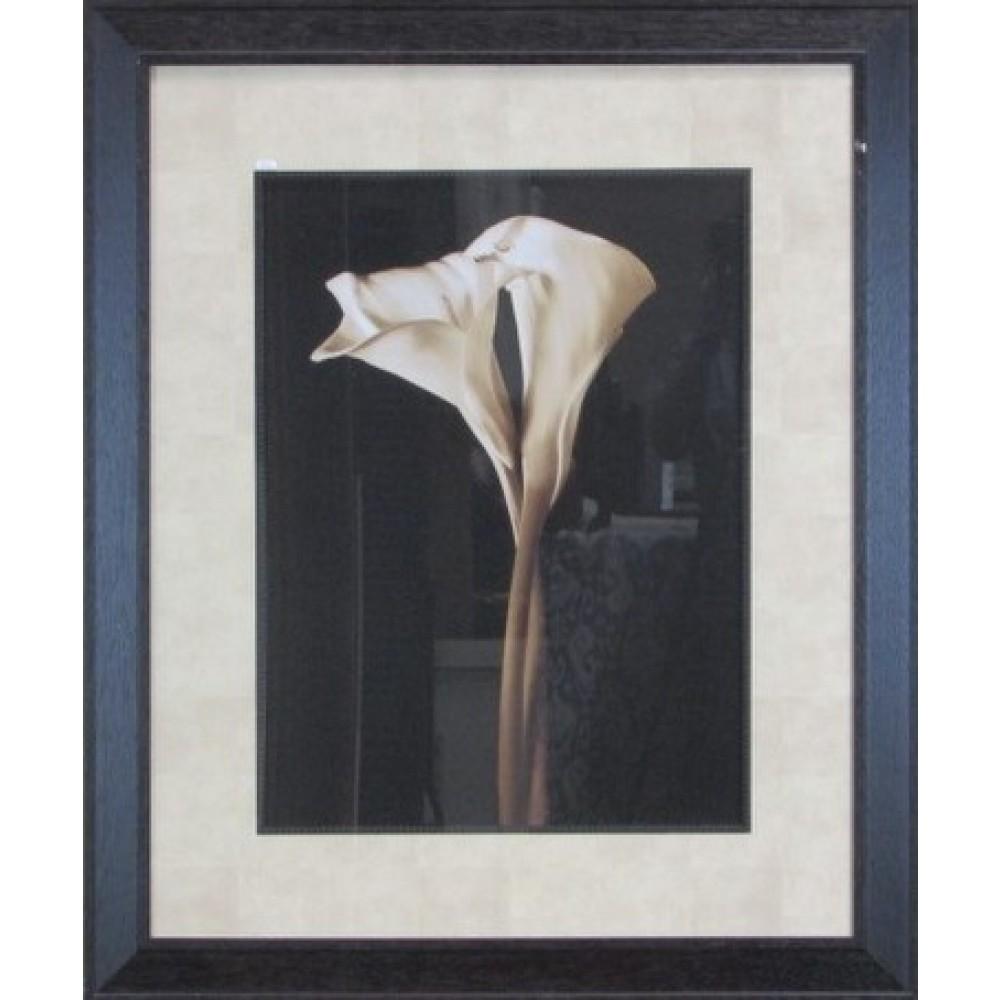 Flowers Framed Art