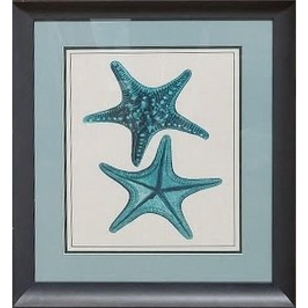 Starfish Framed Art