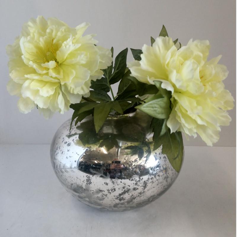 Table Plant