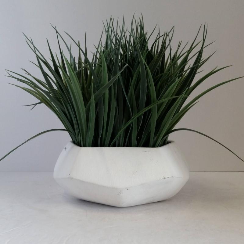 Table Plant