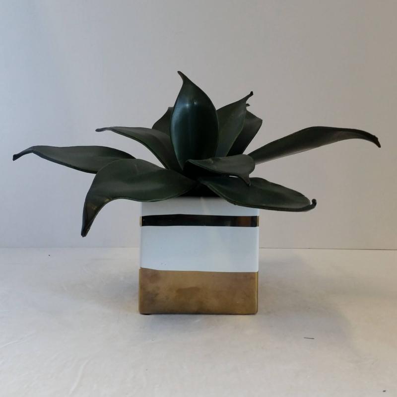 Table Plant