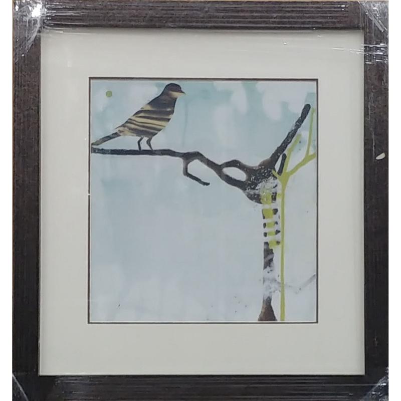 Bird Framed Art