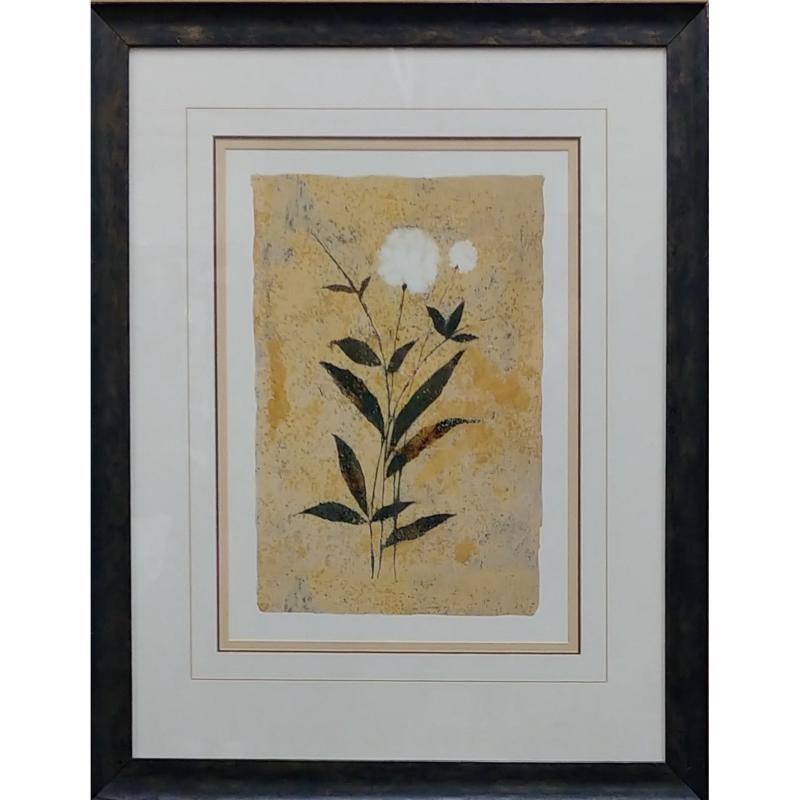 Plant Framed Art