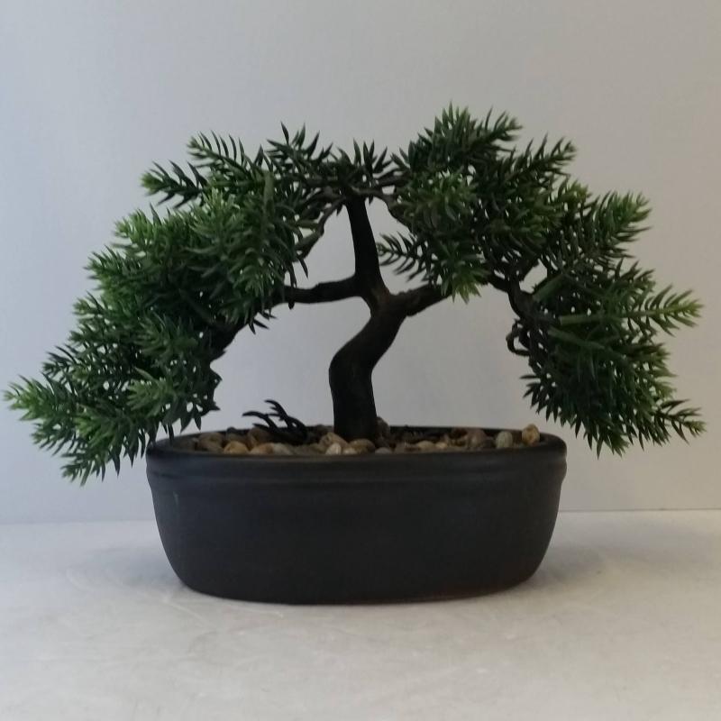 Bonsai Tree