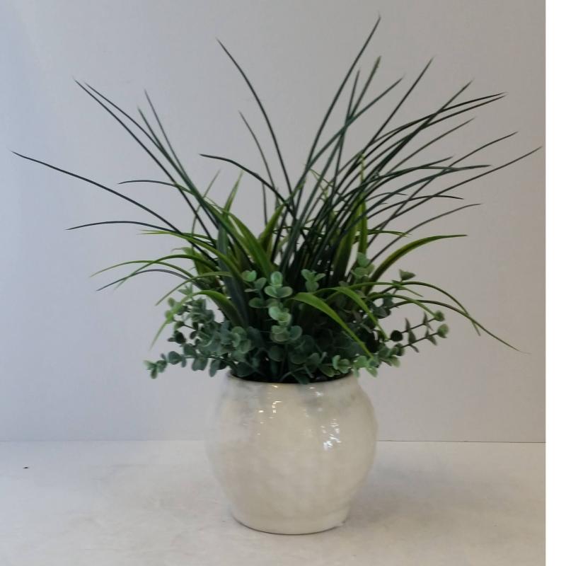 Table Plant