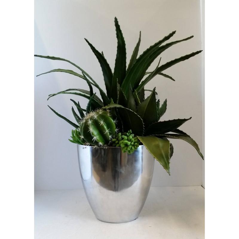 Cactus And Succulent Plant In Silver Base