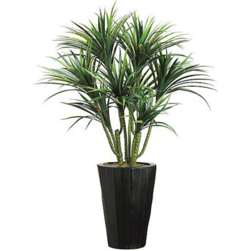 Palm In Tall Rnd. Base