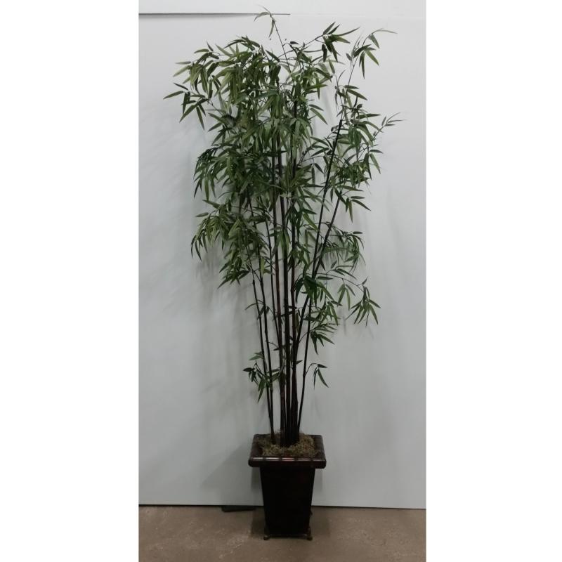 Bamboo Tree In Sq. Base