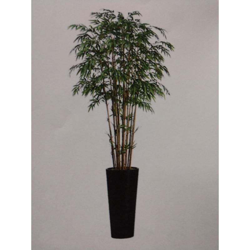 Bamboo Tree In Tall Base