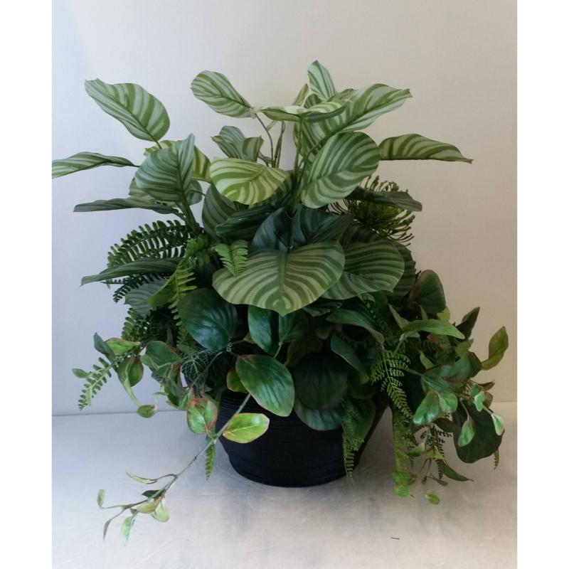 Table Plant