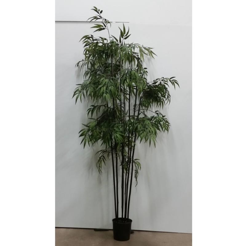 Bamboo Tree In Rnd. Base