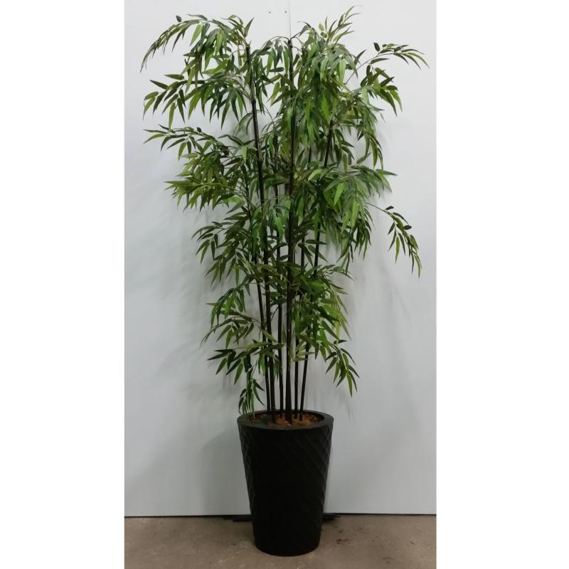 Bamboo Tree In Rnd. Base