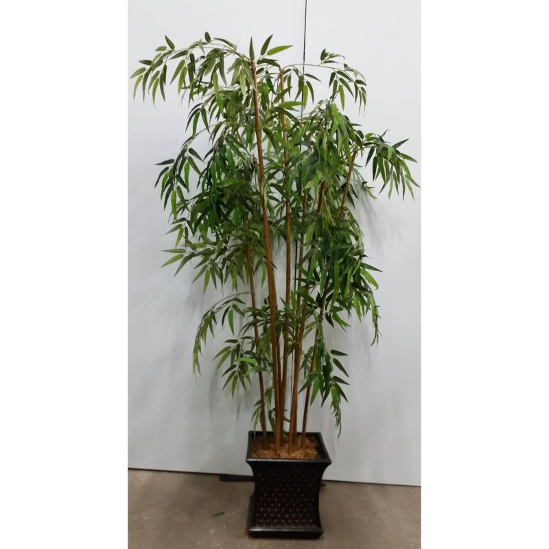Bamboo Tree In Sq. Base W/ Design