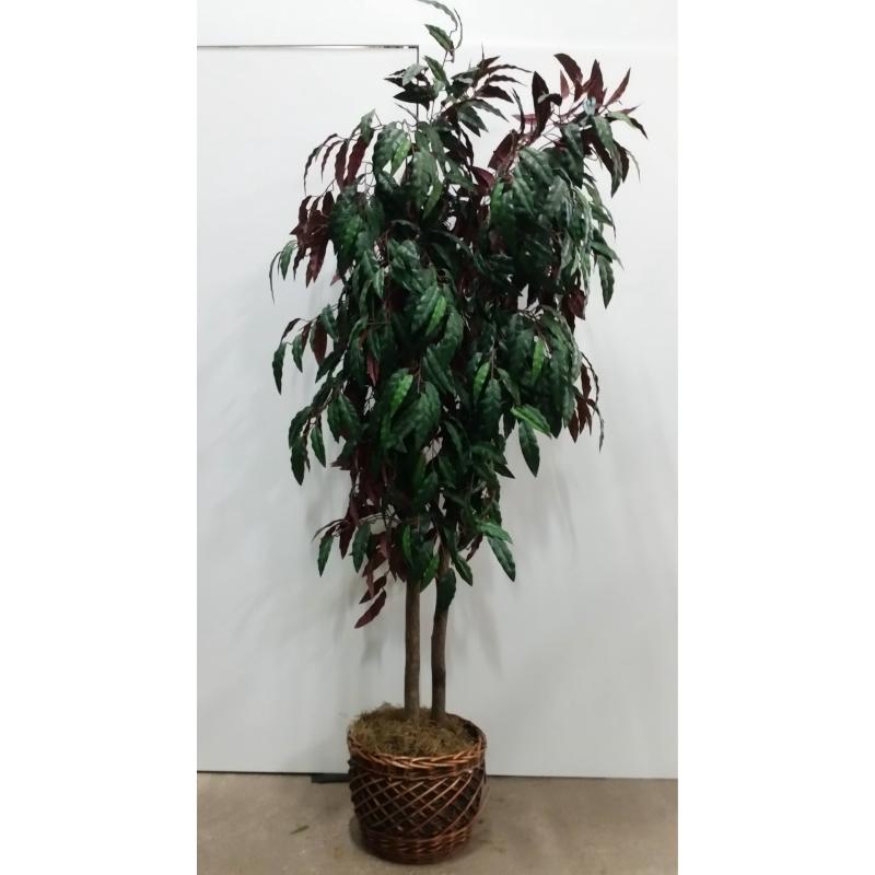 Tree In Rnd. Wicker Base