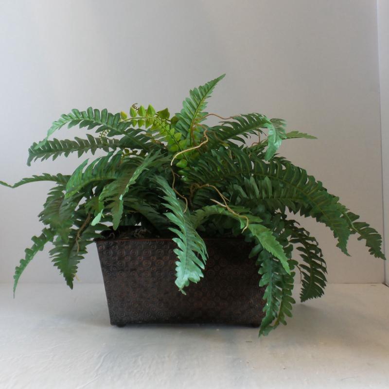 Table Plant