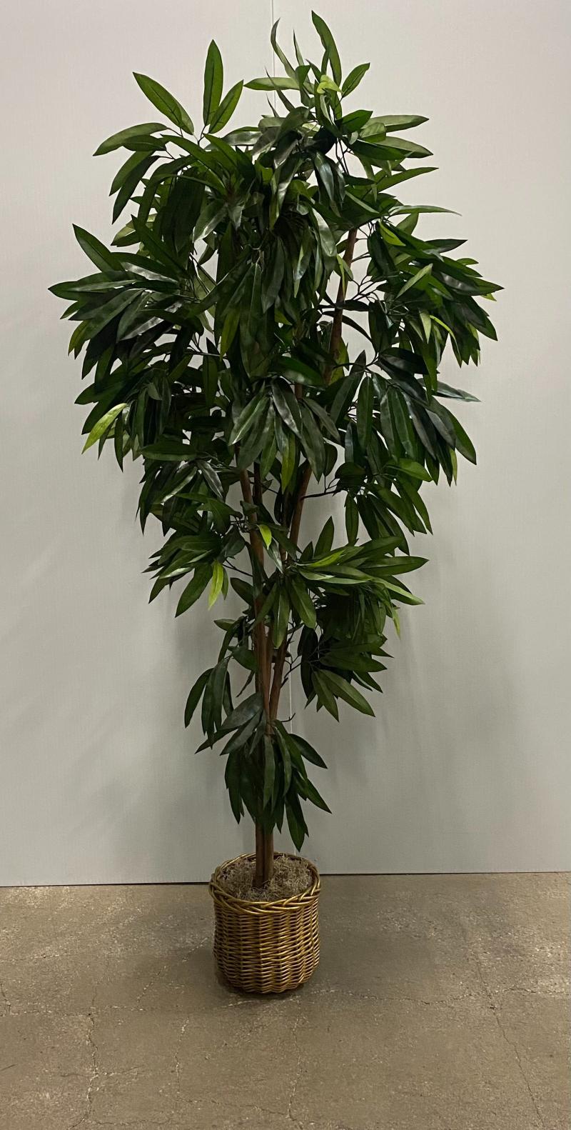Gold Base Tree