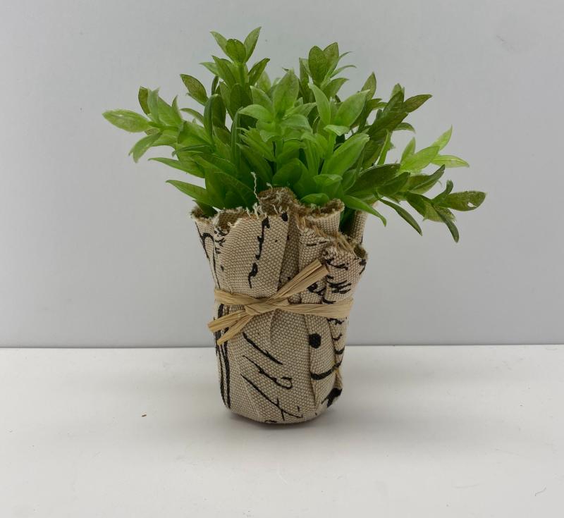 Canvas Table Plant
