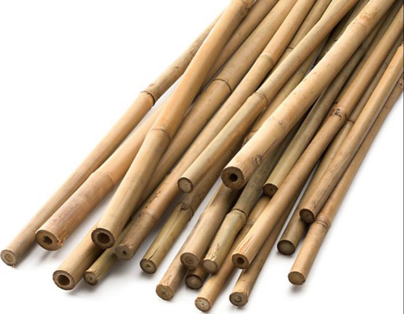 Bamboo Sticks
