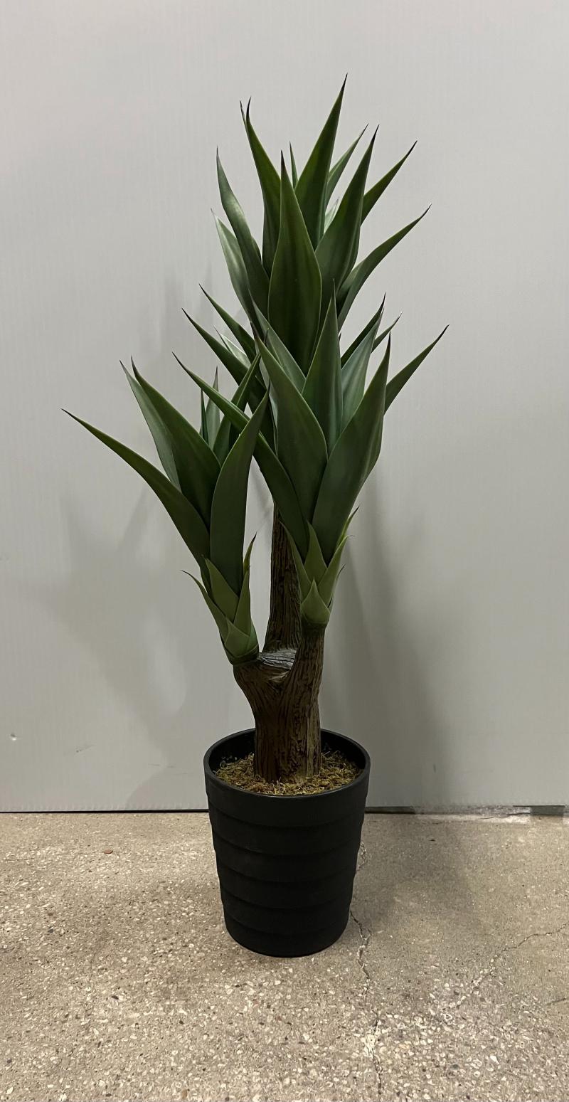 Floor Plant W/ Rnd. Base