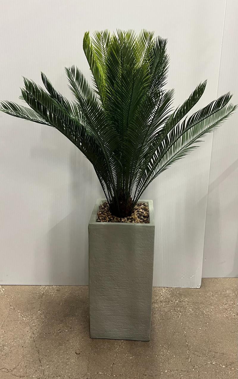 Floor Plant W/ Tall Sq. Beige Base