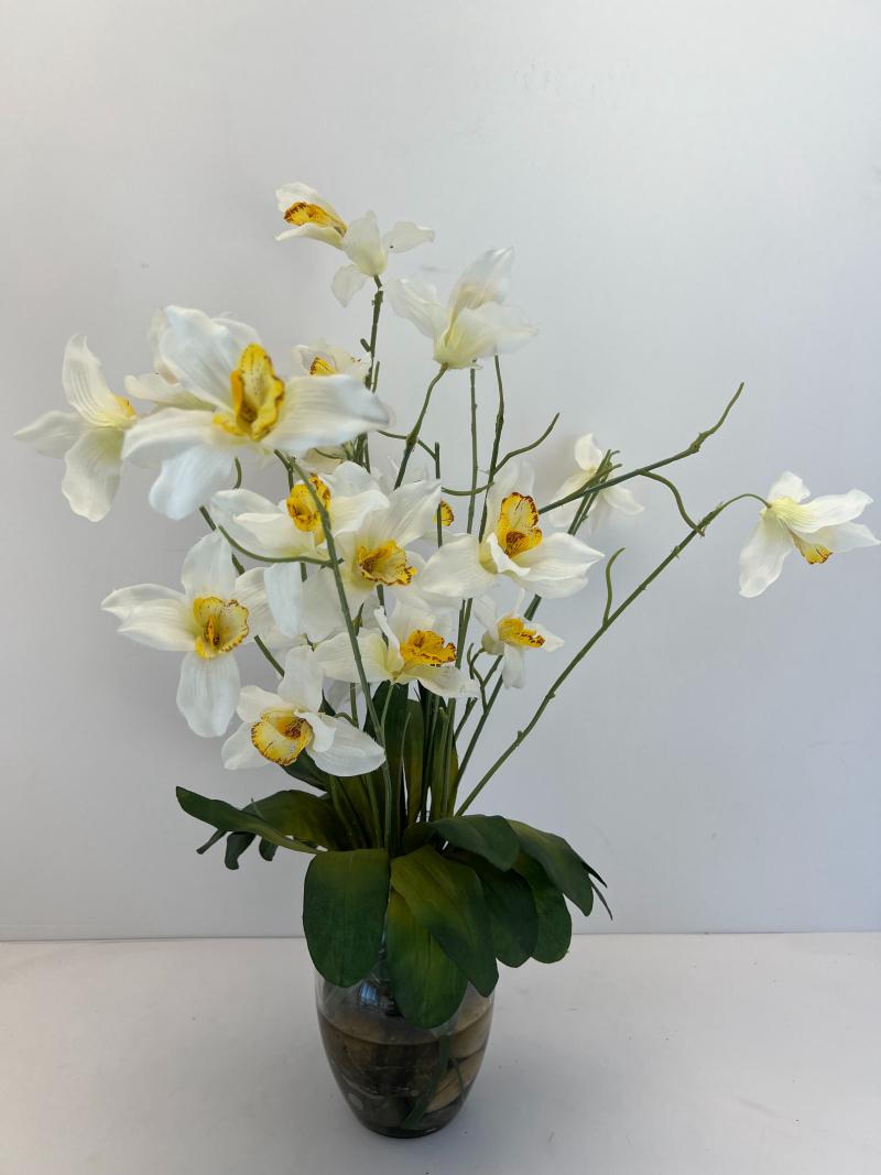 Table Plant