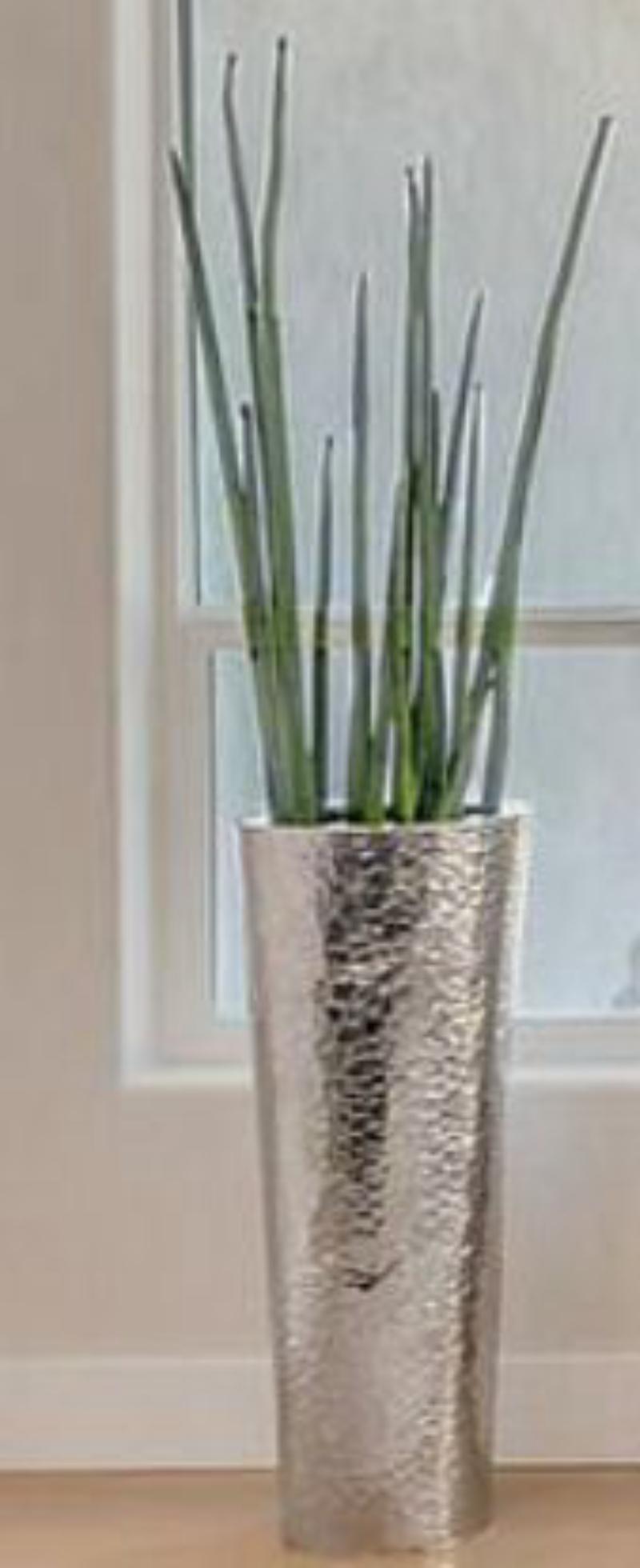 Snake Grass Plant W/ Silver Base