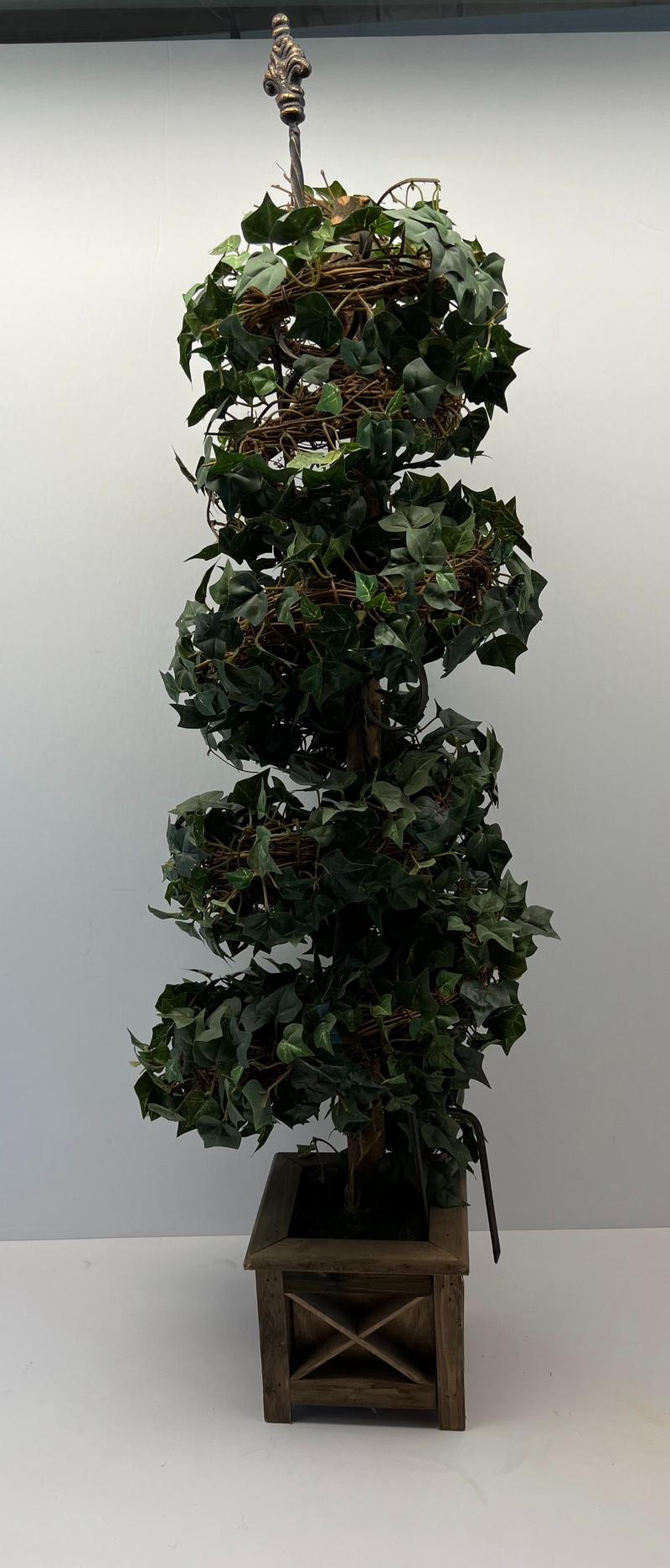 Plant