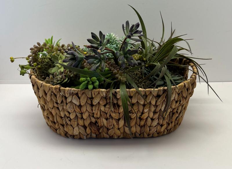 Succulent In Wicker Basket