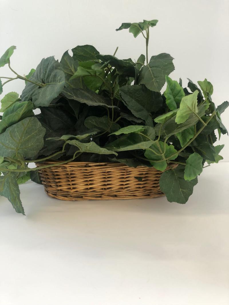 Plant