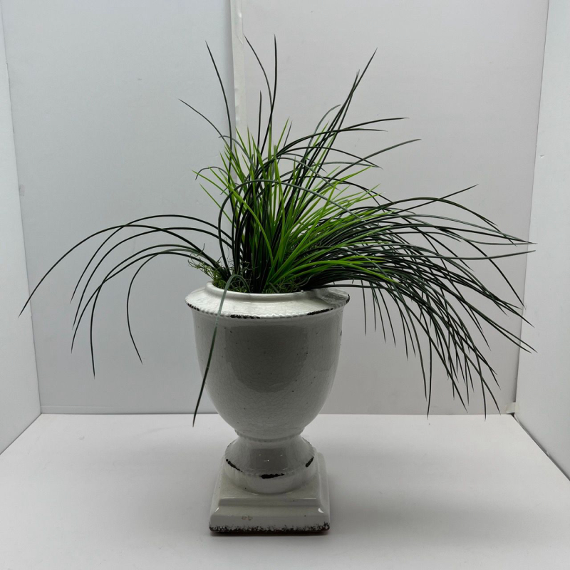 Table Plant