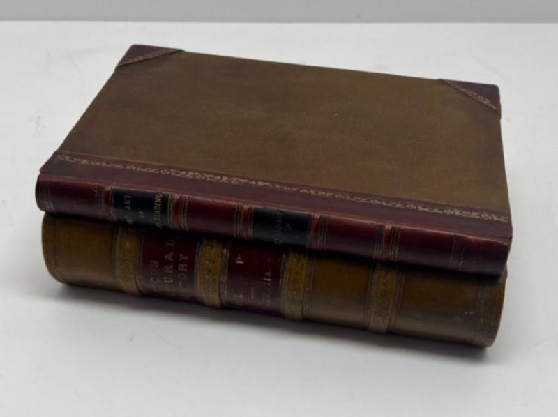 Wooden Book Chest