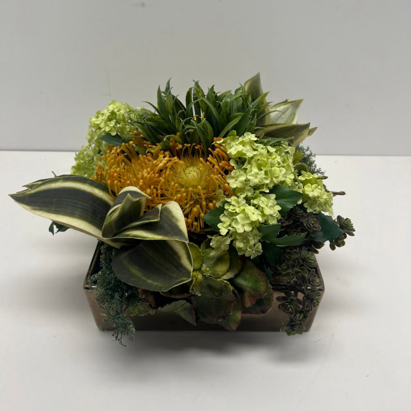 Plants In Sq. Vase