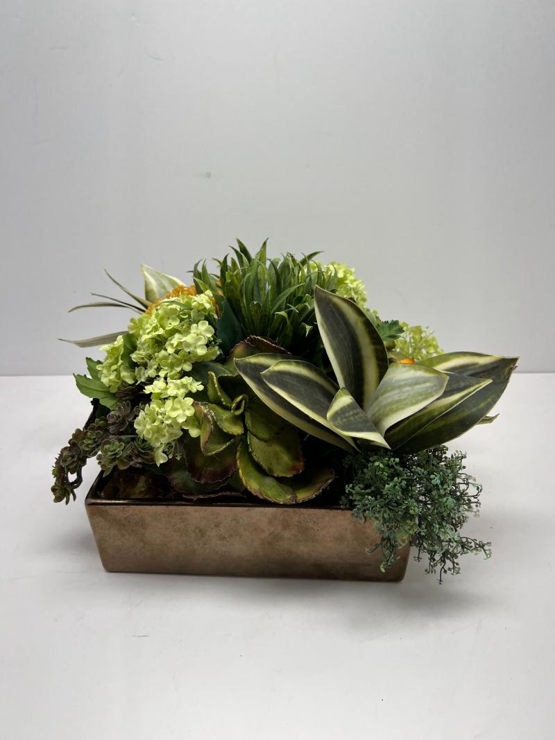 Succulent Arrangement