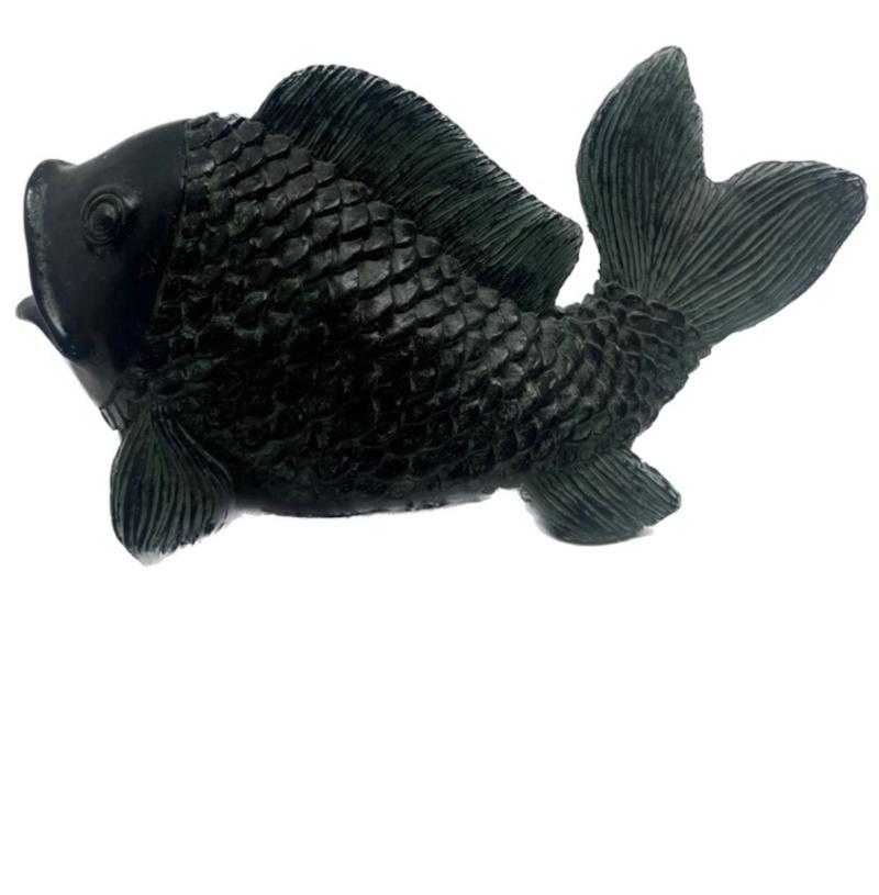 Black Fish