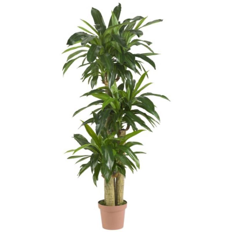 Dracaena Artificial Plant