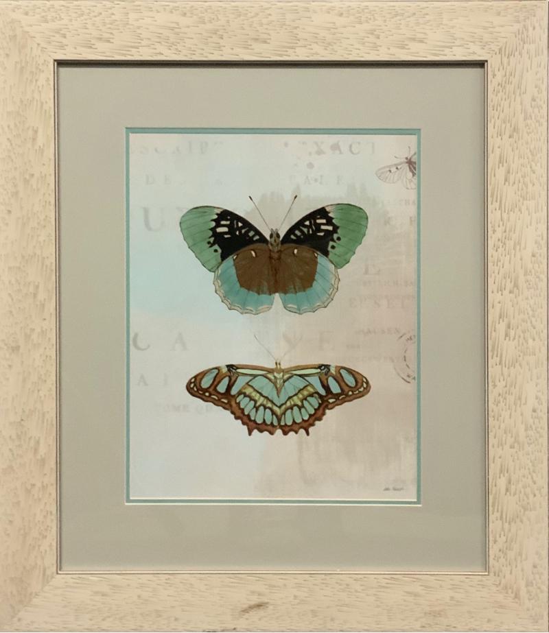 Framed Butterfly