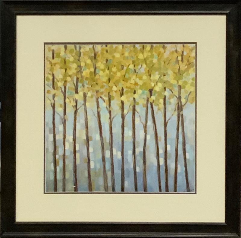 Framed Trees