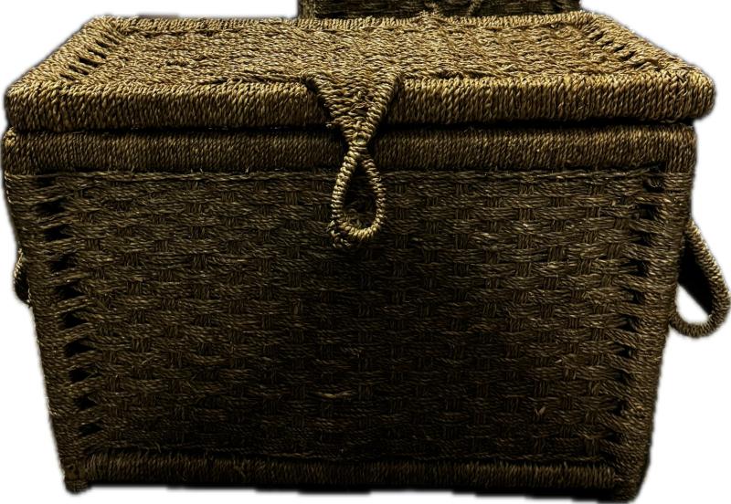 Wicker Trunk