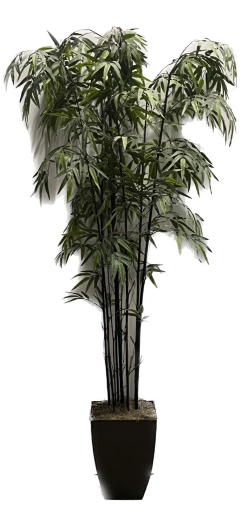 Bamboo Tree