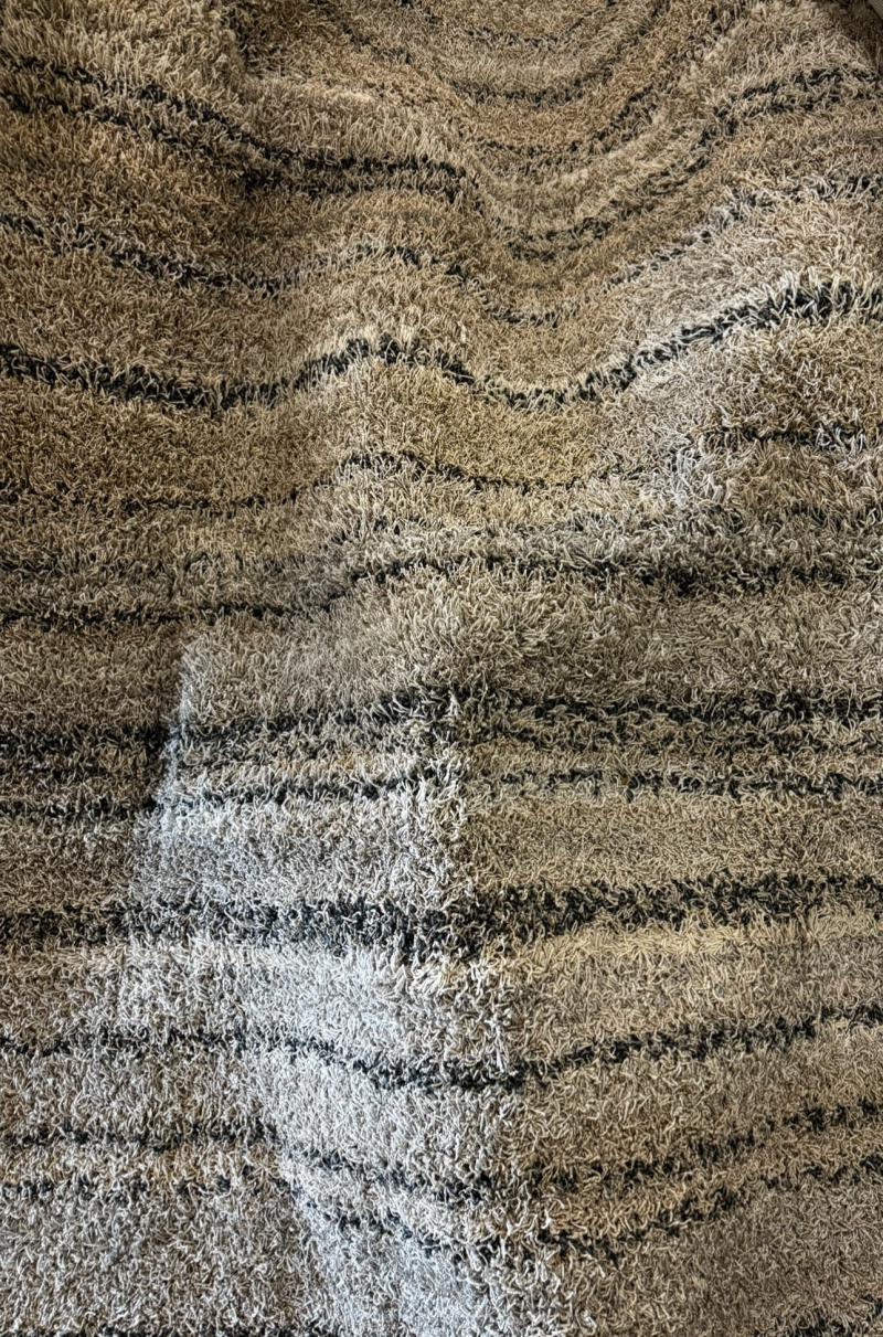 Striped Area Rug