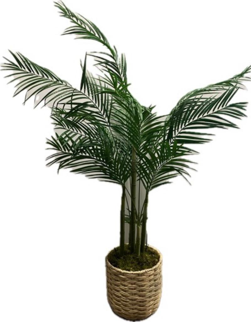 Palm In Cream Basket