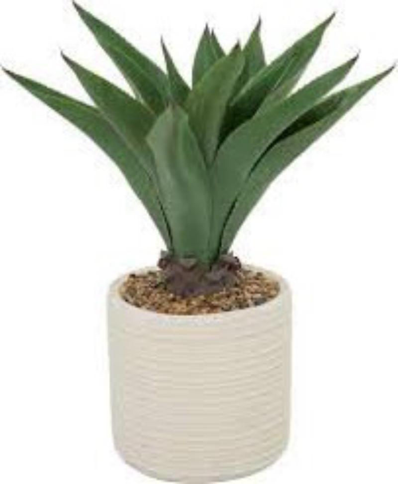 Agave Ceramic Base