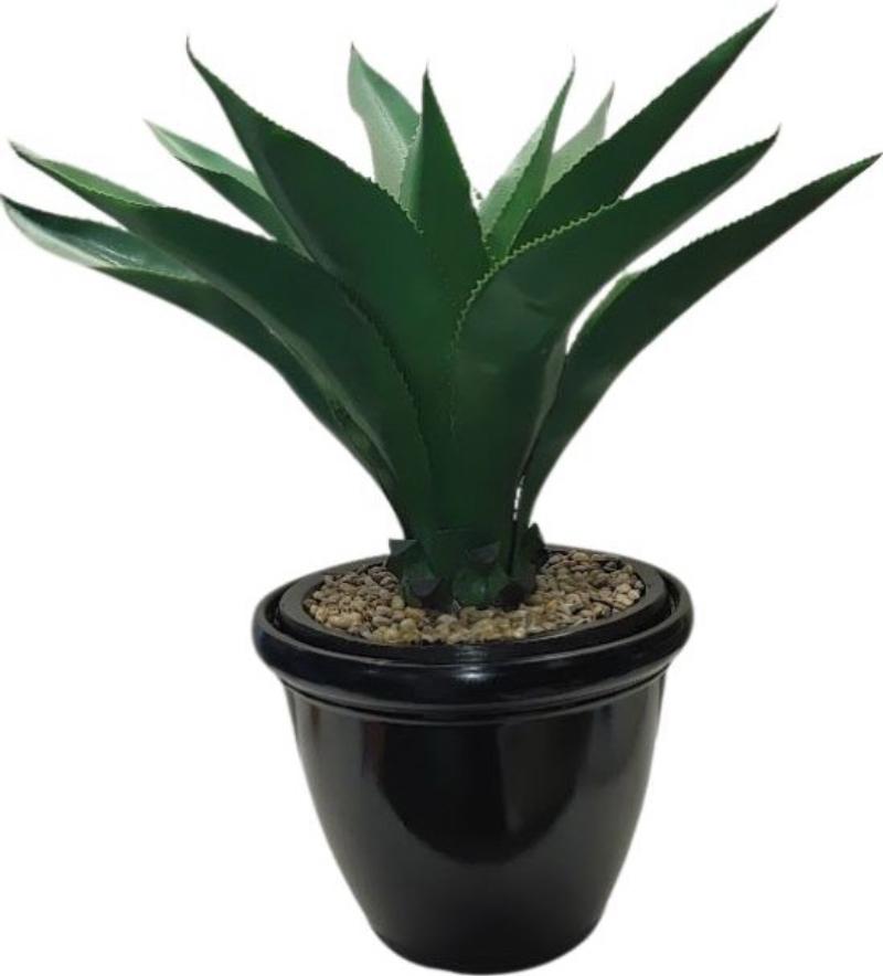 Agave Succulent Aloe Ceramic Base