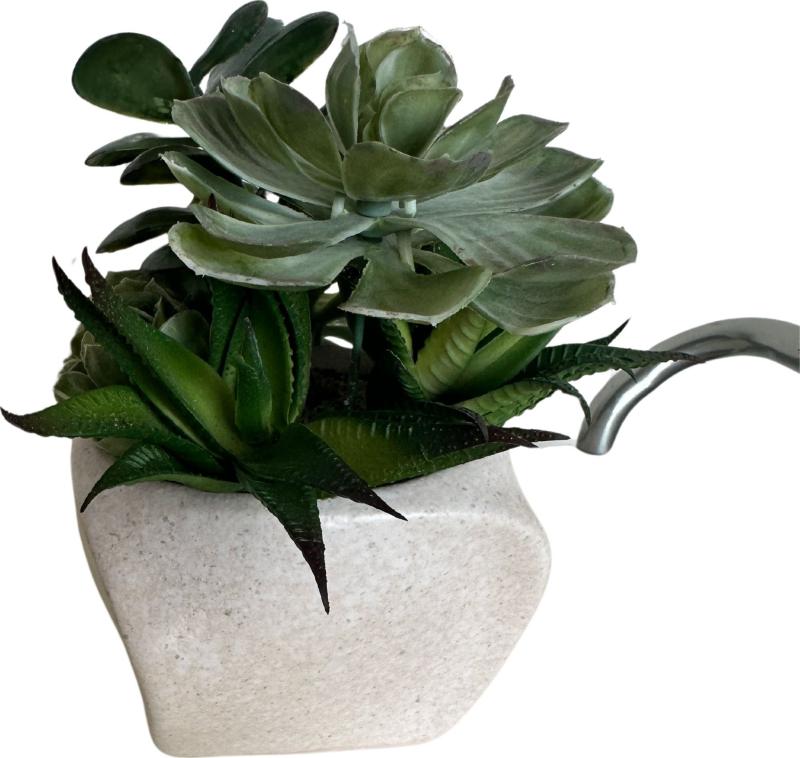 Succulent White Vase