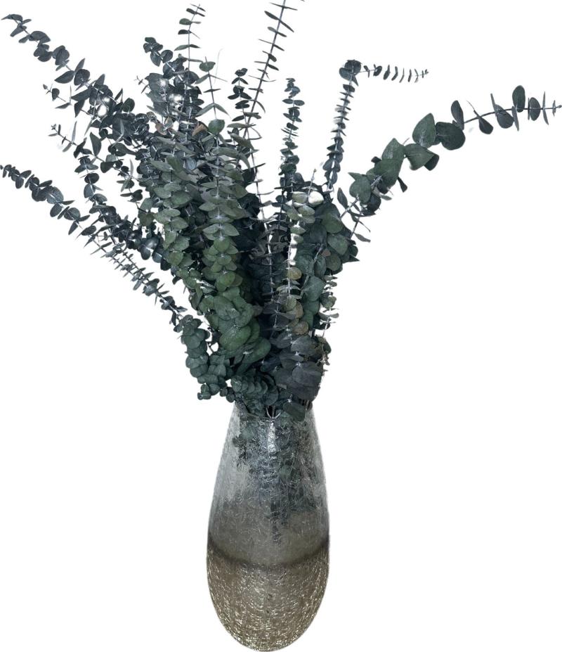 Mercury Vase With Eucalyptus