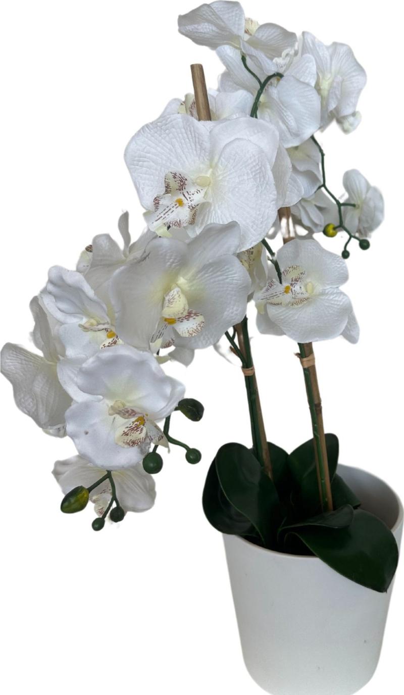 Orchid White Vase