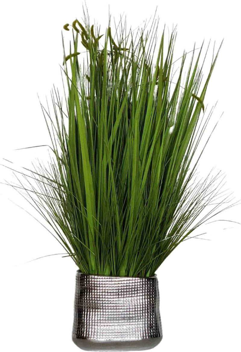 Grass In Silver Vase