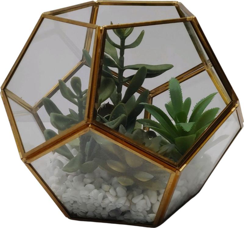 Pentaganol Terrarium