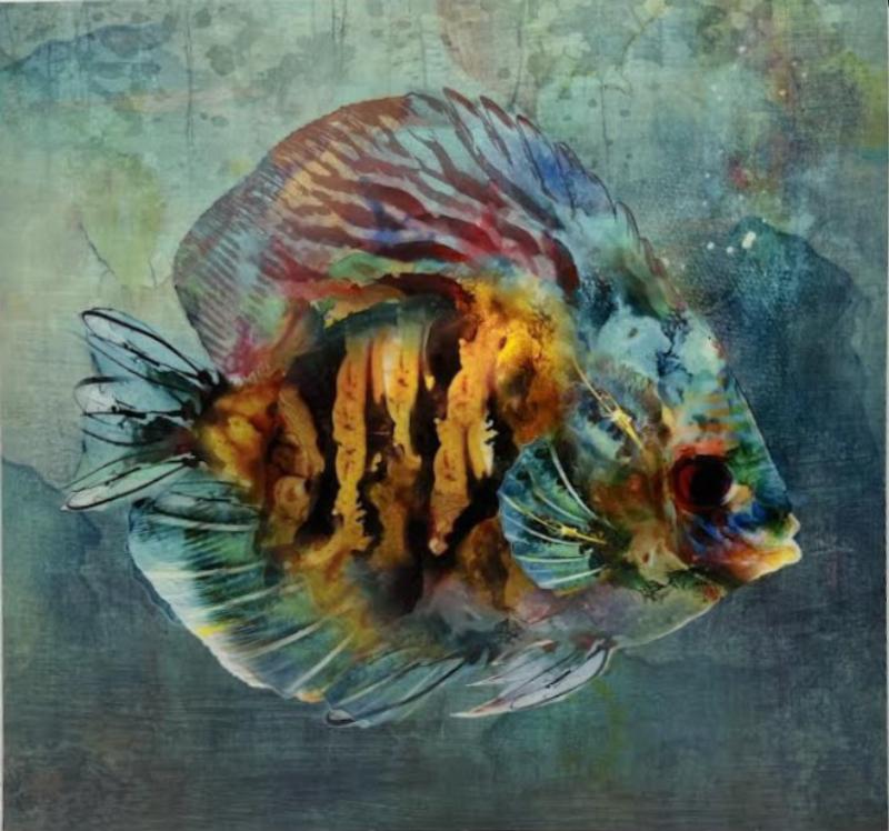 Fish Art